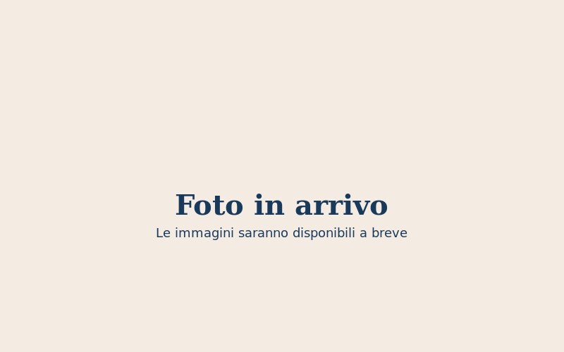 Foto in arrivo — B&B Papillon Luca Homestay