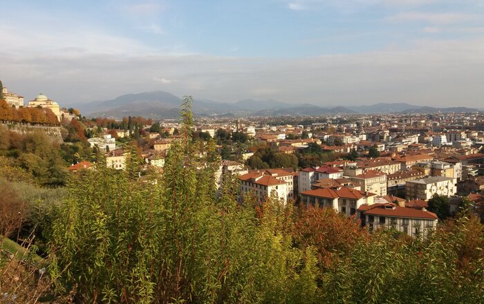 Book Bed and Breakfast, B&B letterario in Via Pignolo con libreria a parete e tessuti rossi