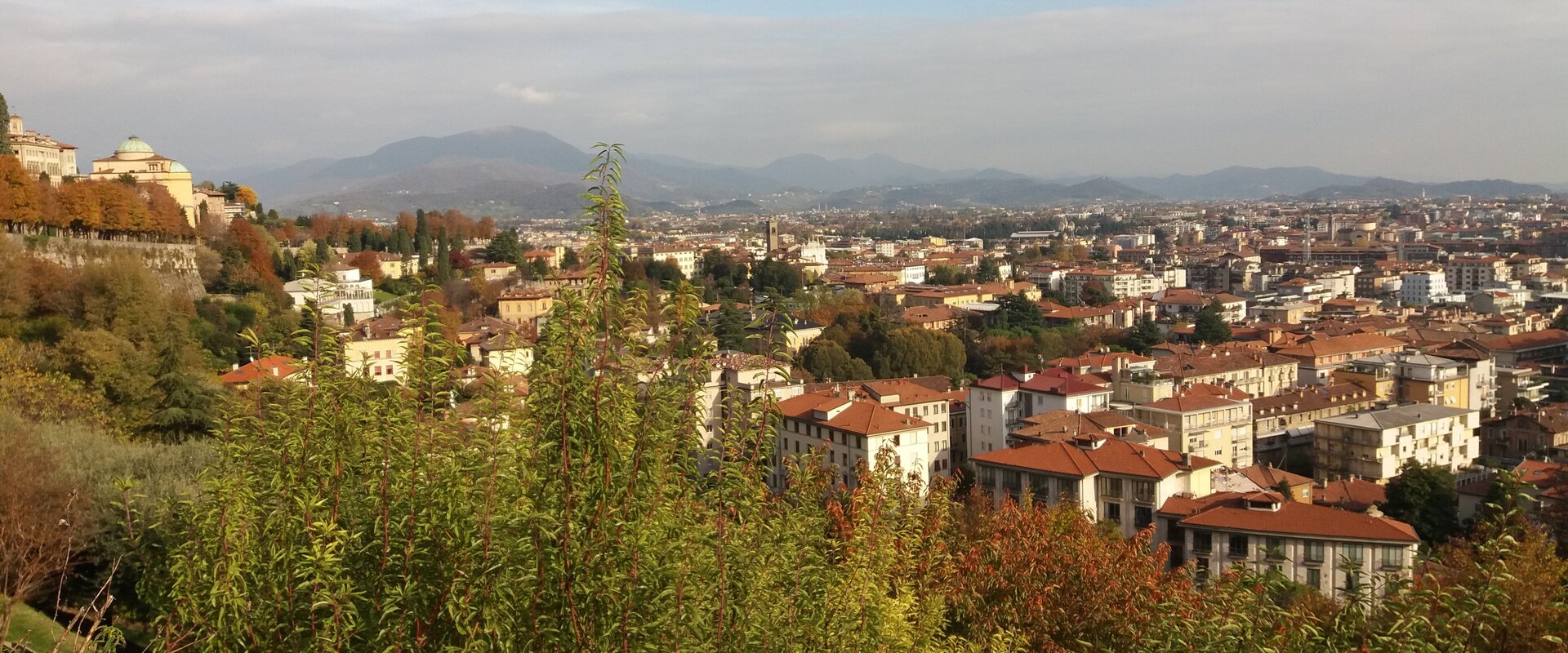 Book Bed and Breakfast Bergamo, camera con libreria a parete e tessuti rossi