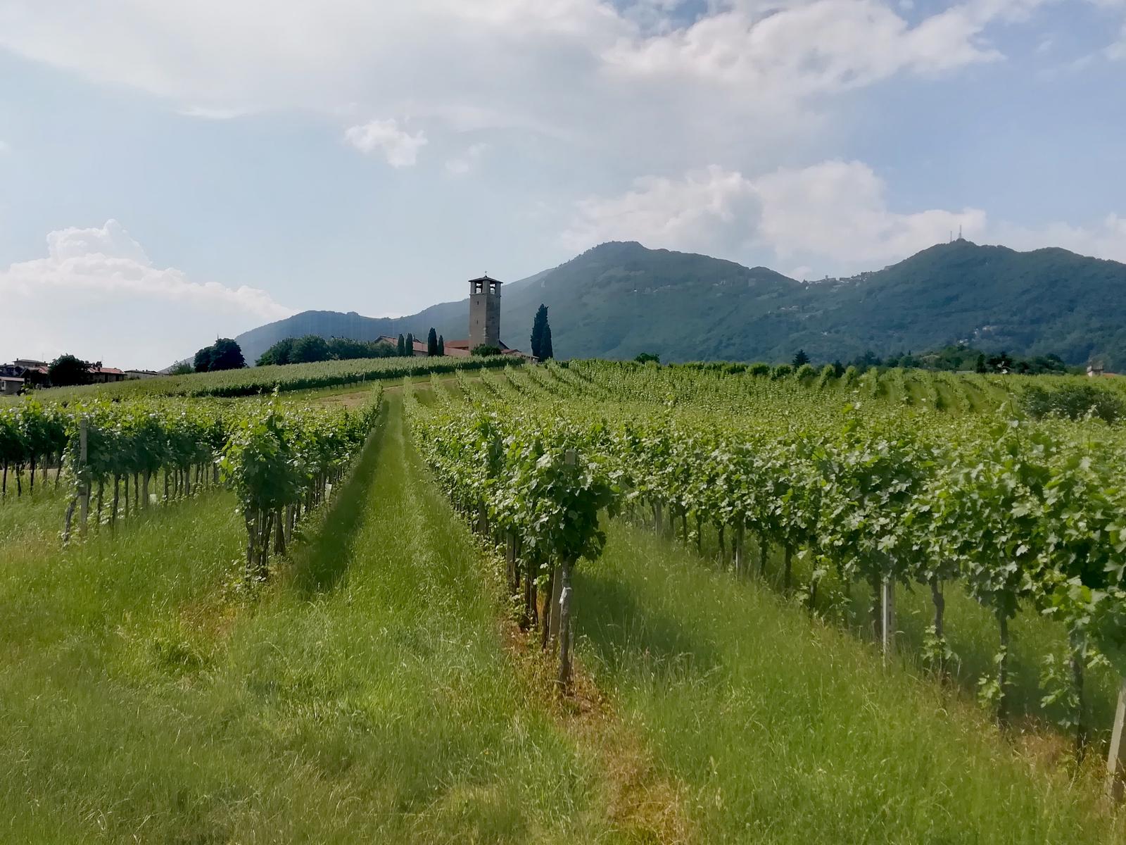 Sponde del fiume Brembo nei comuni degli Almenno