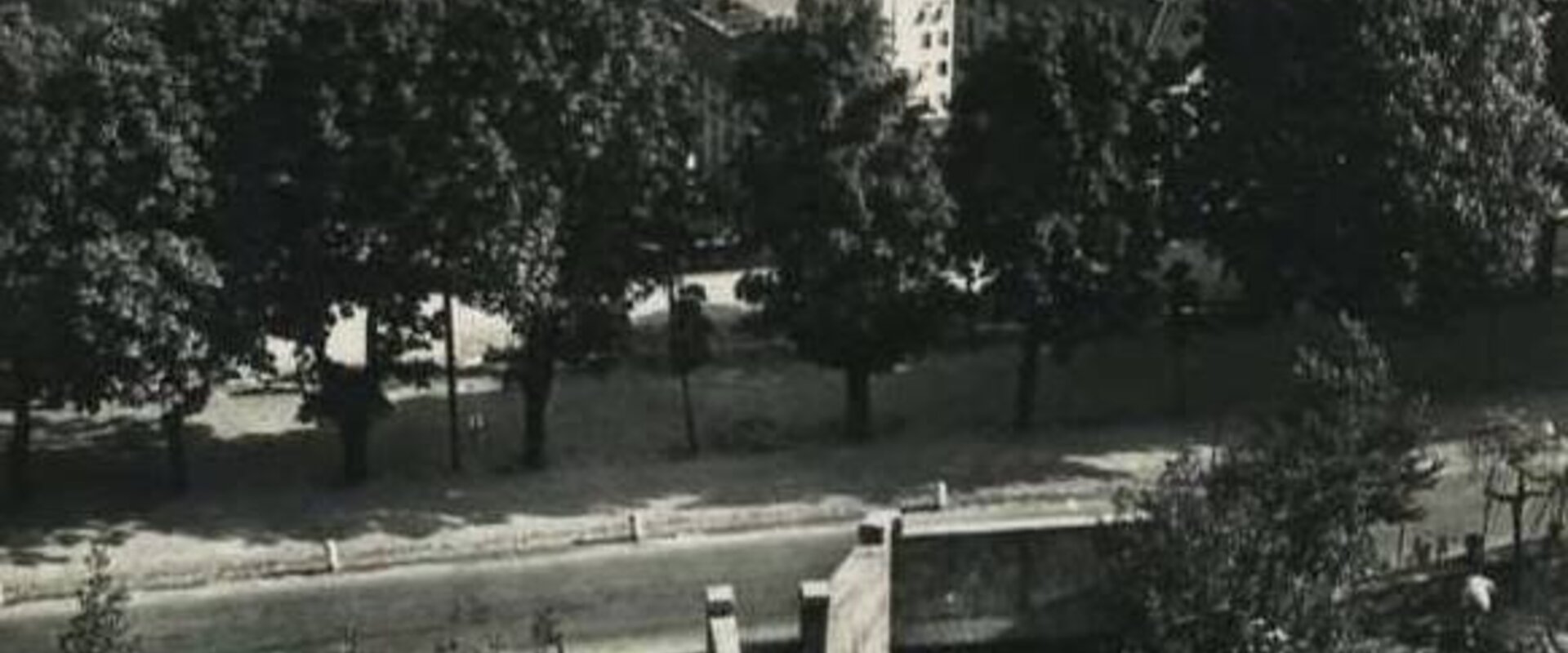 Liceo Linguistico Statale Giovanni Falcone di Bergamo