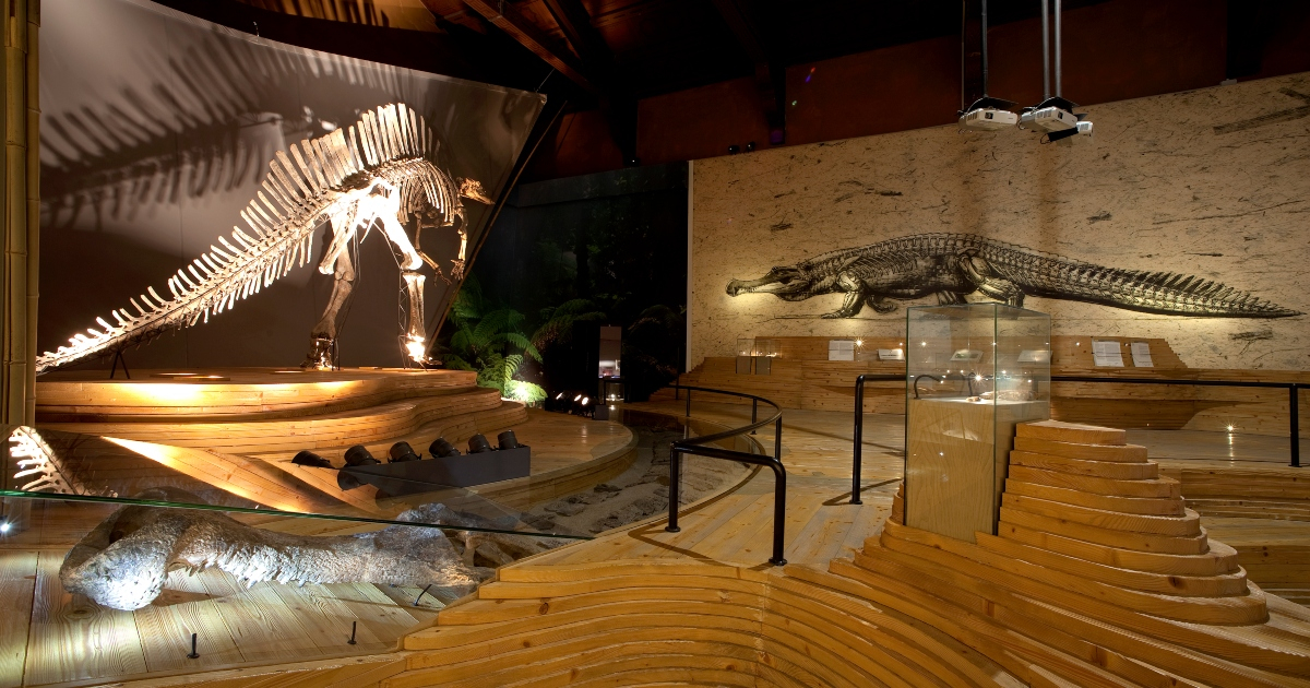 Museo Naturalistico Severo Sini a Villa d'Almè