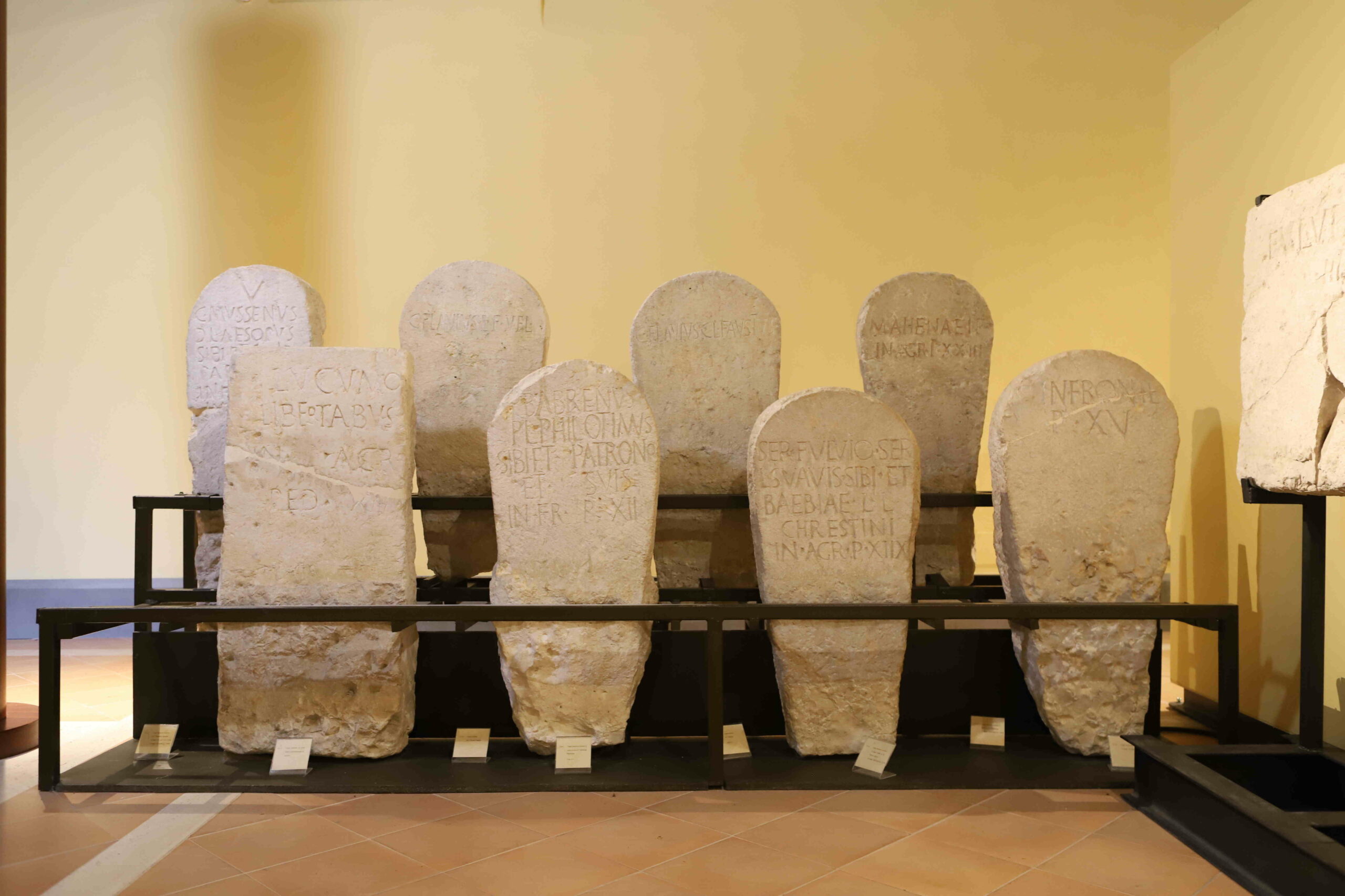 Museo Naturalistico Severo Sini, collezioni di minerali, fossili e farfalle a Villa d'Almè