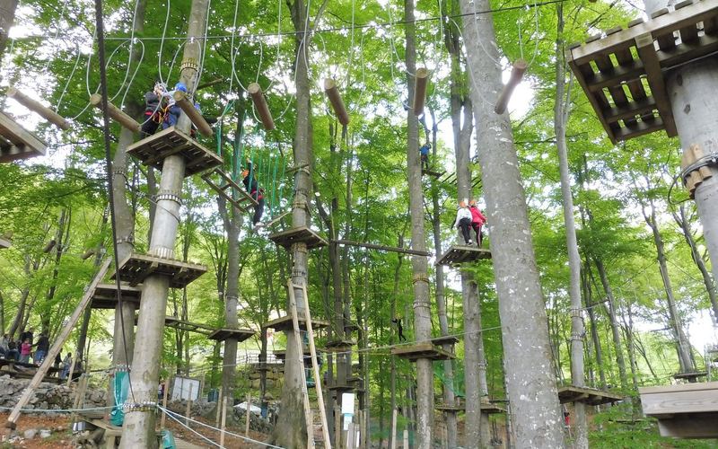 Percorso sospeso tra gli alberi al Parco Avventura Roncola