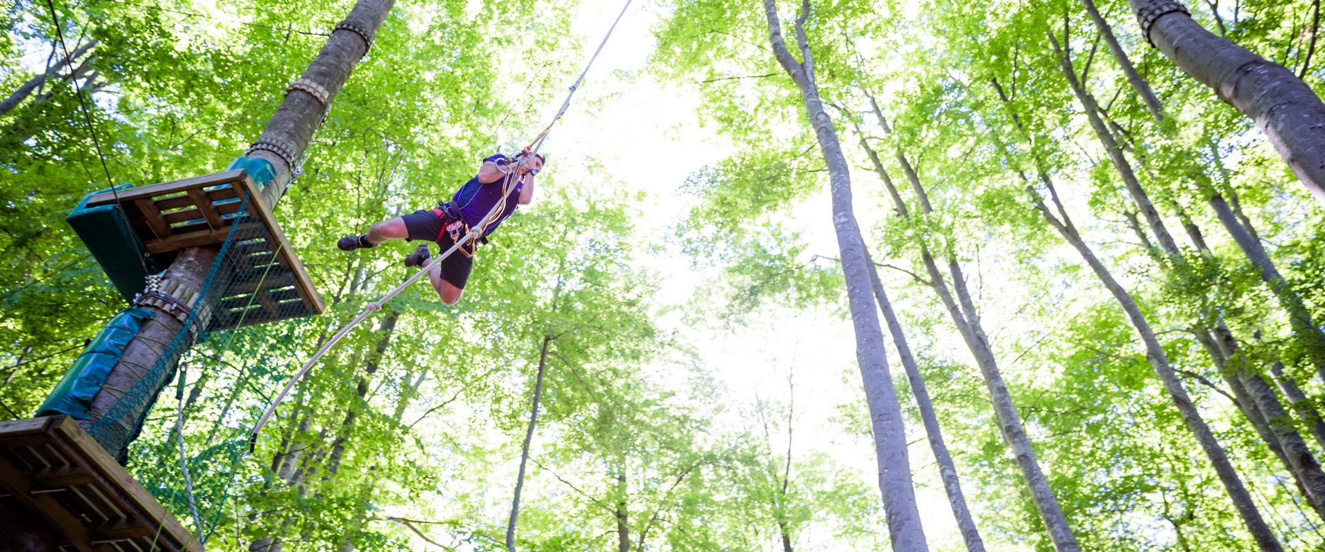 Parco Avventura Roncola, percorsi acrobatici tra gli alberi in Valle Imagna