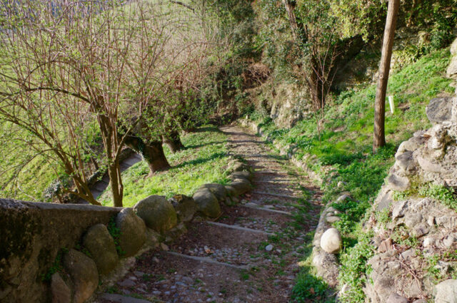 Percorso del Romanico, itinerario ad anello di 8 km tra le 5 chiese medievali