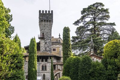 Dettaglio del Cristo-Vite di Lorenzo Lotto con i tralci e i santi